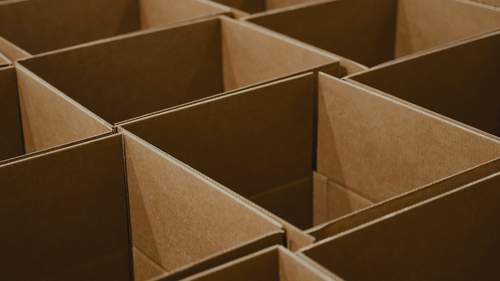Rows of open cardboard boxes ready for packing