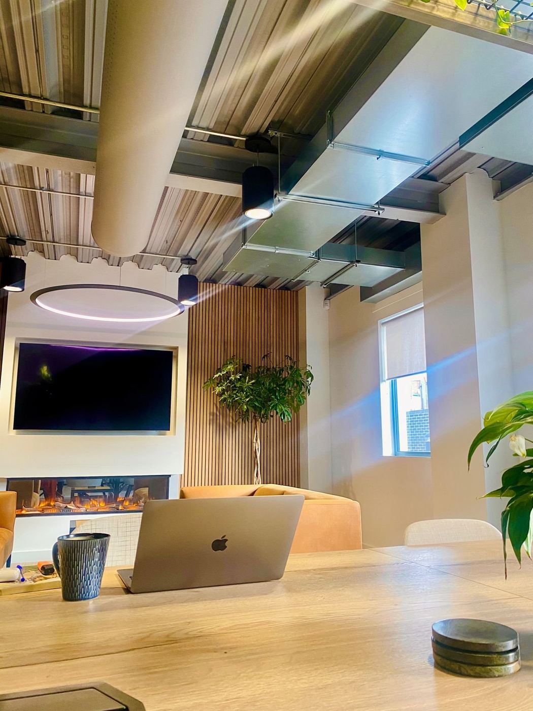 A laptop and coffee mug on a long desk in a plant-filled studio office